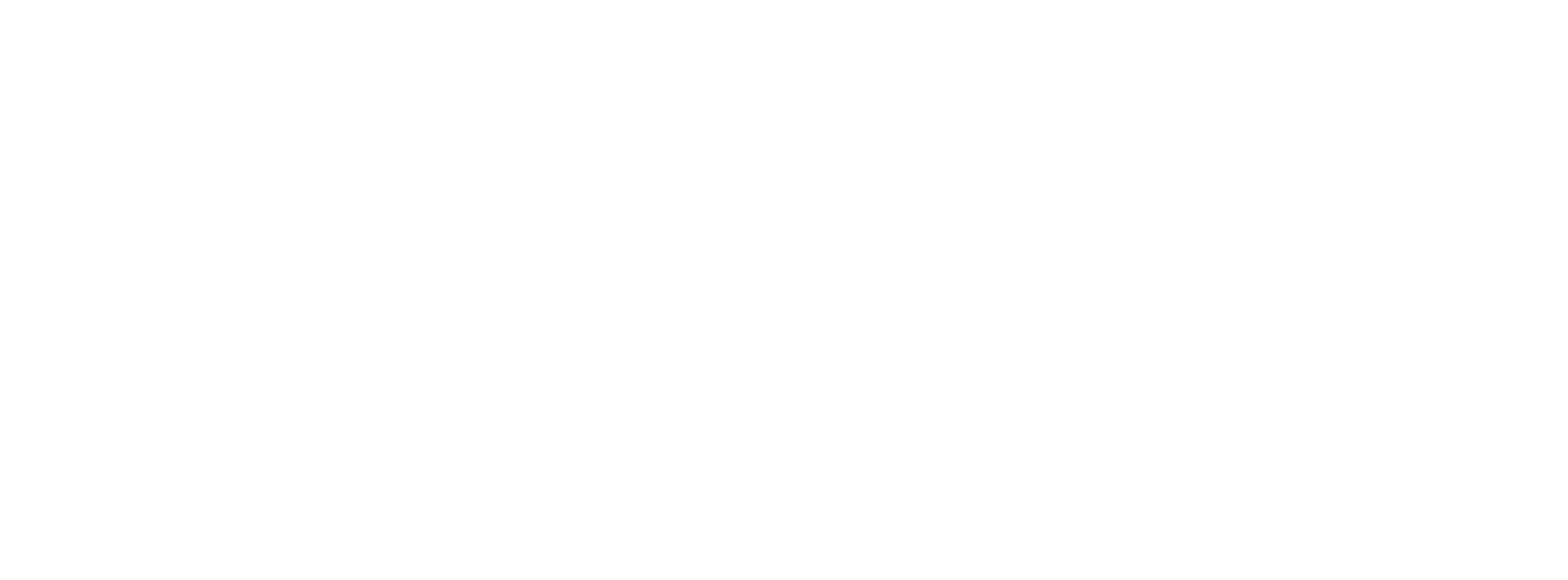 blueZones_logo